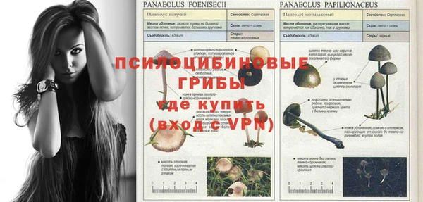 дживик Волосово