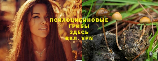 дживик Волосово