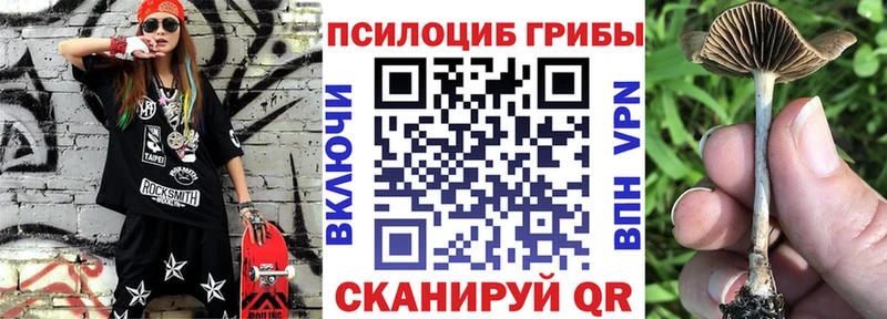kraken ссылки  Игра  Псилоцибиновые грибы ЛСД  купить  